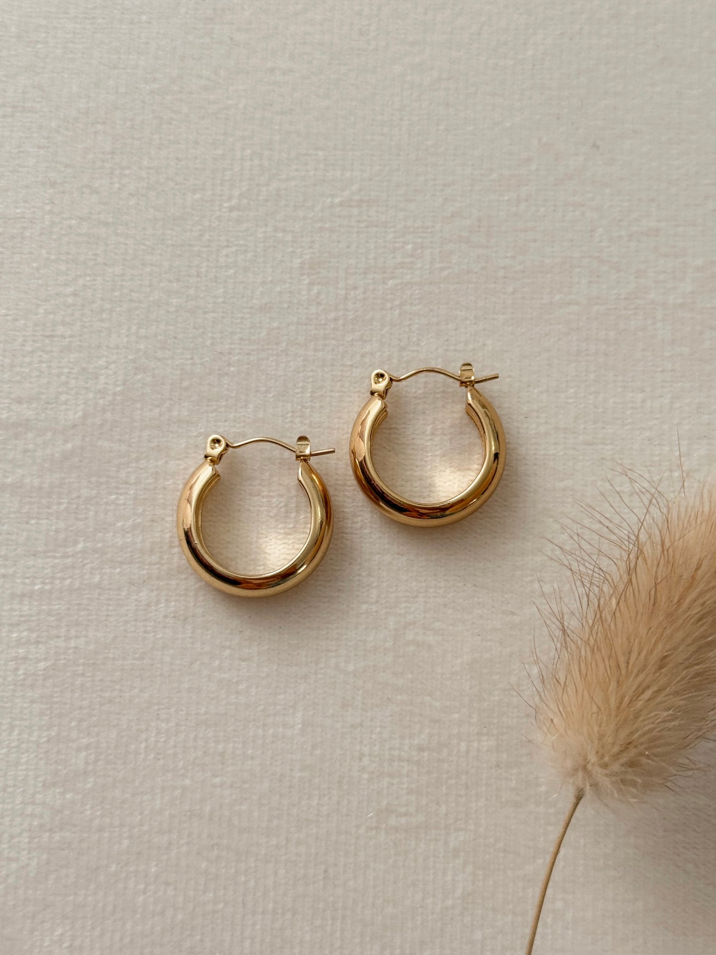 Leila Hoops