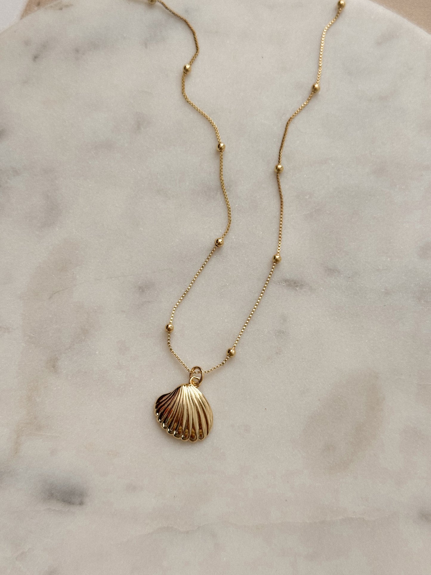 Concha Necklace