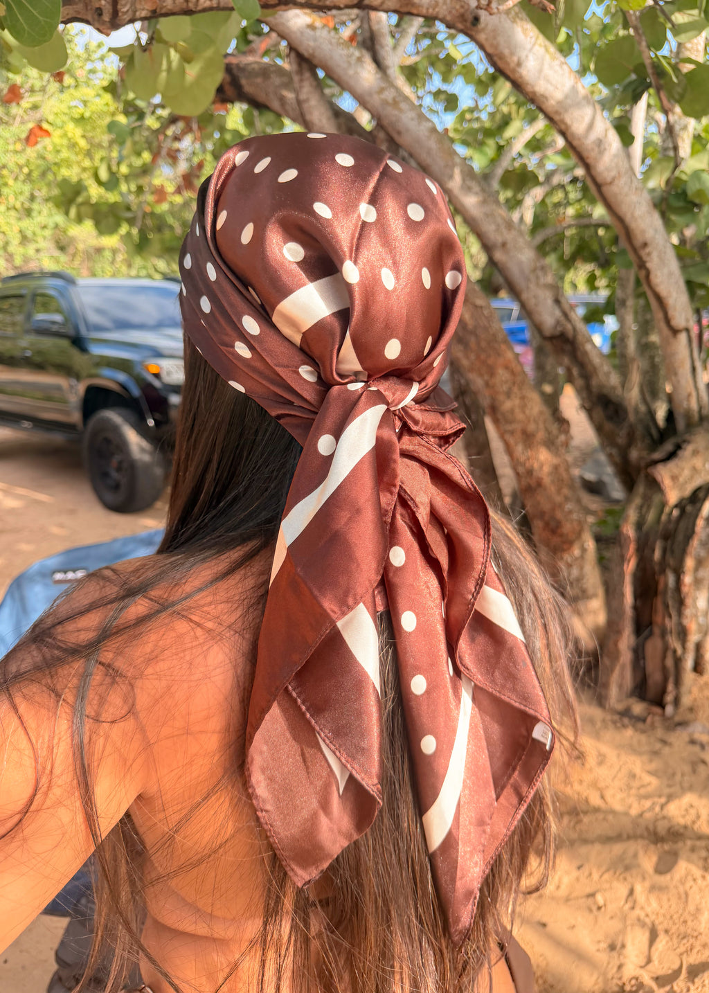 Polka Dots Brown Bandana