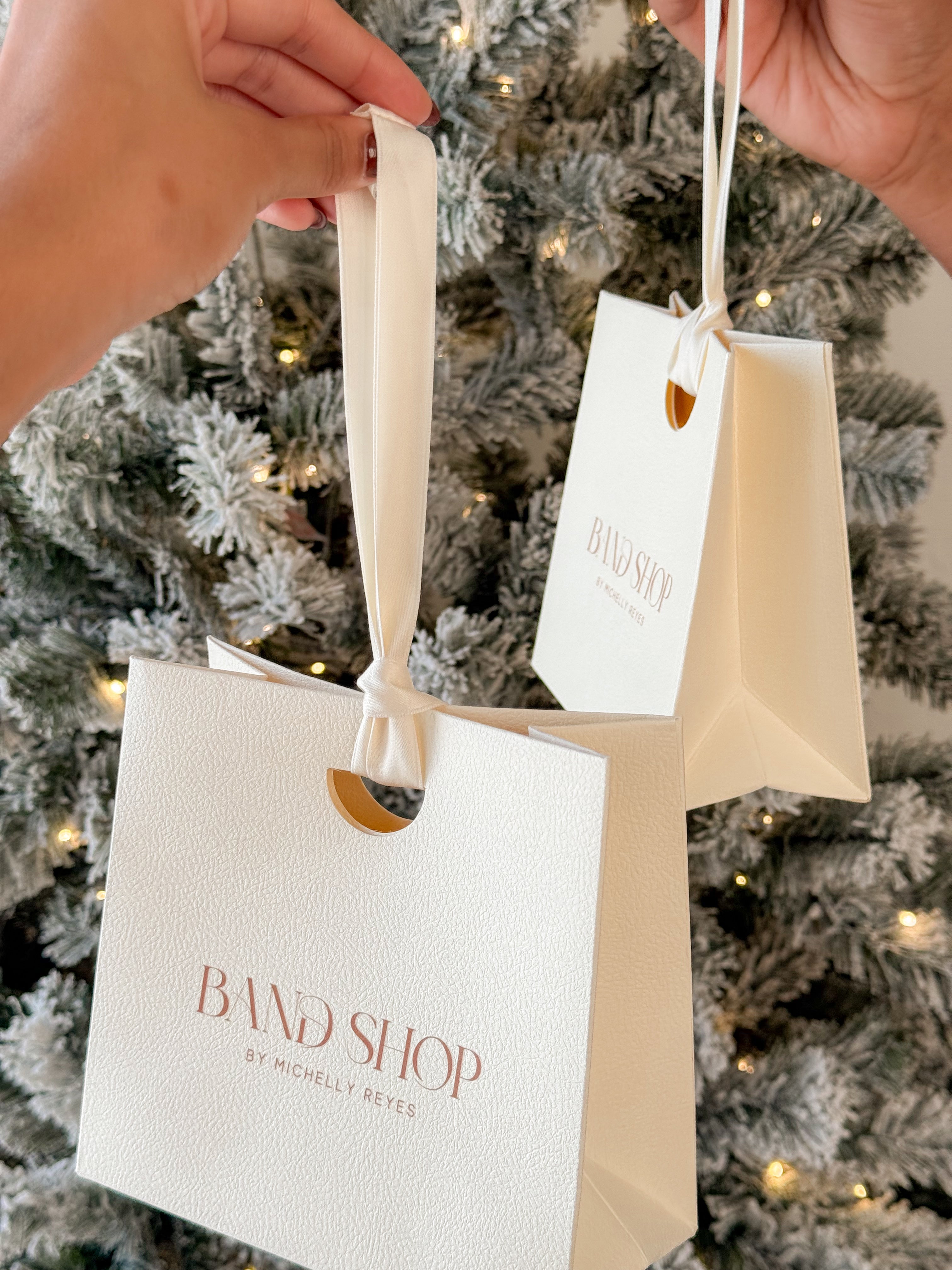 BS Holiday Gift Bag