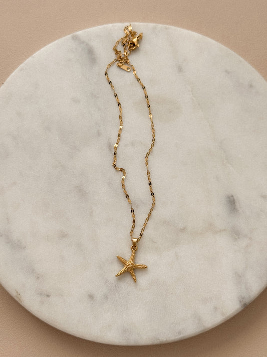 Estrella De Mi Isla
